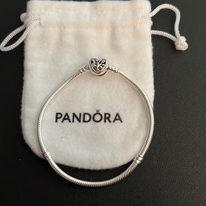 Pandora Family Charm Braclet
